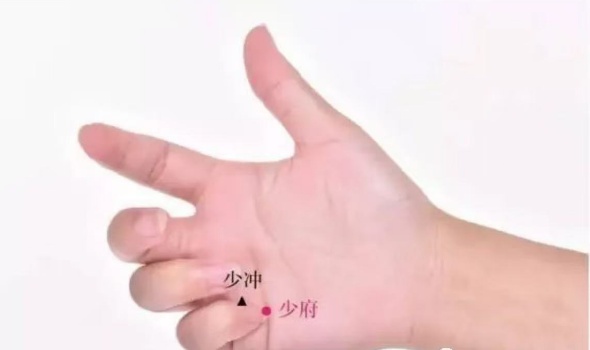 申公豹“代购药单”火了！这些“健康秘籍”请收下