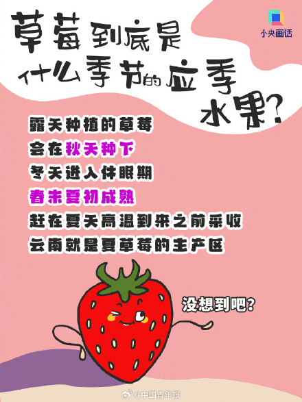 这样买草莓性价比拉满 畸形但便宜的大草莓能买吗？
