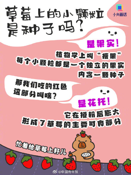 这样买草莓性价比拉满 畸形但便宜的大草莓能买吗？