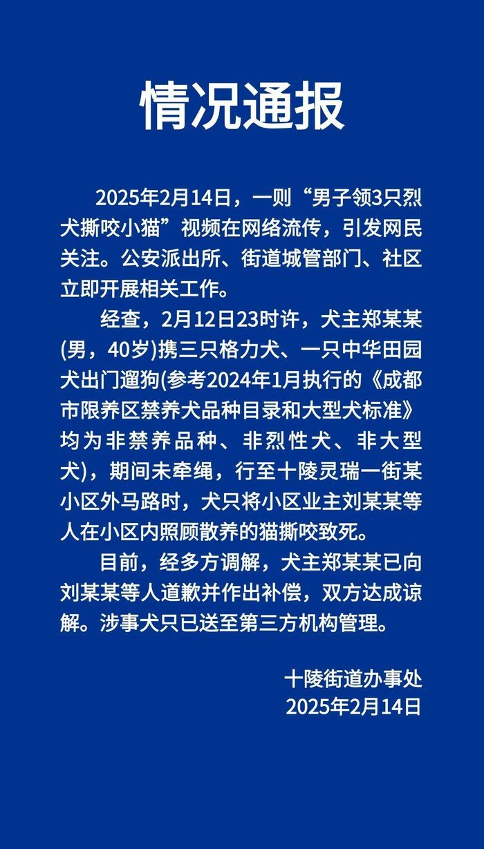当地通报“成都一男子领3只烈犬撕咬小猫并抛尸”:道歉并作出补偿 当地通报“成都一男子领3只烈犬撕咬小猫并抛尸”:道歉并作出补偿