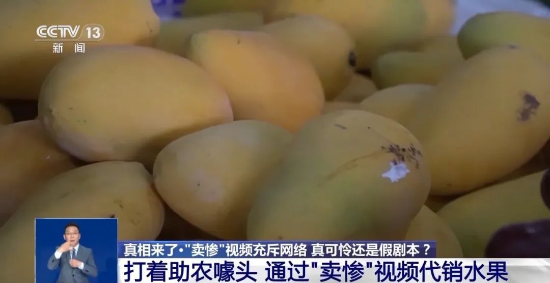 女网红被家暴男砍断手指？真相曝光！央视揭秘“卖惨网红”产业链