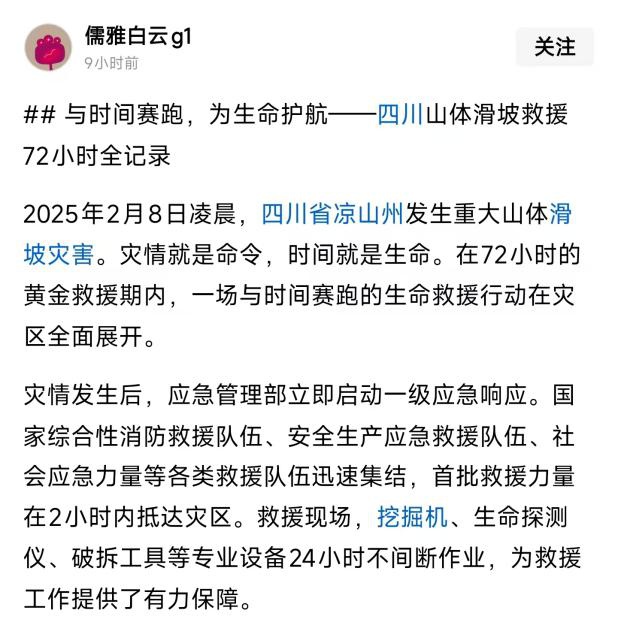 使用AI炮制涉“宜宾山体滑坡灾害”网络谣言博取流量？依法打处！