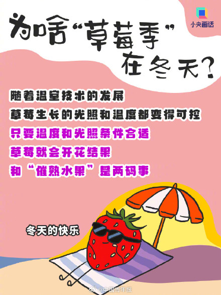 这样买草莓性价比拉满 畸形但便宜的大草莓能买吗？