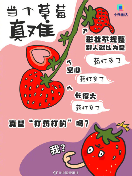 这样买草莓性价比拉满 畸形但便宜的大草莓能买吗？