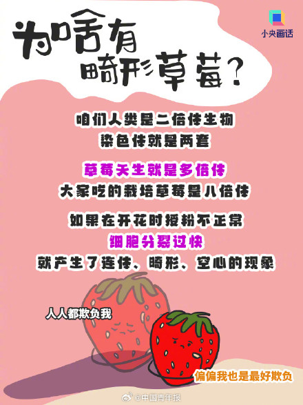 这样买草莓性价比拉满 畸形但便宜的大草莓能买吗？