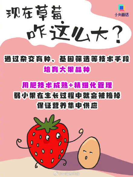 这样买草莓性价比拉满 畸形但便宜的大草莓能买吗？
