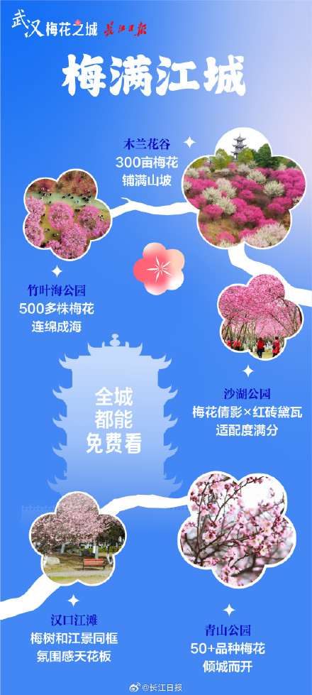 “武汉梅花直接封神！” 武汉这些地方的梅花免费看