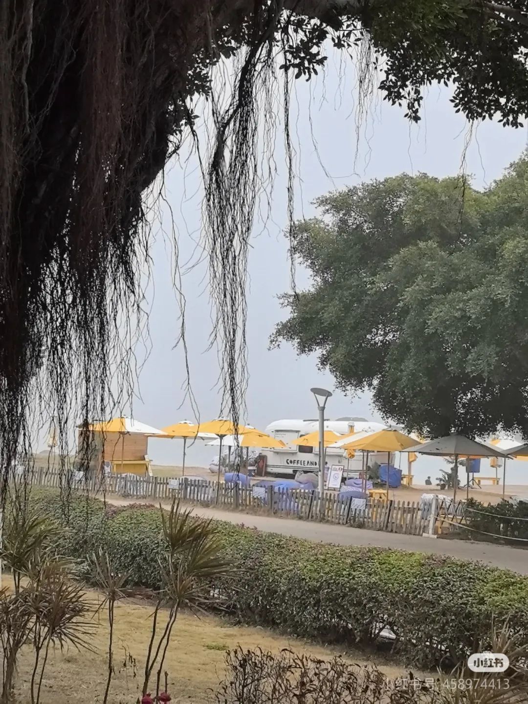 刚抵达厦门！实在太大了！已发布预警！停航通知！接下来……