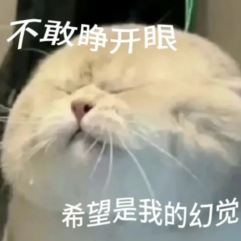 “大家千万不要被大学生骗了！他们其实只有在回学校的路上是难过的！”