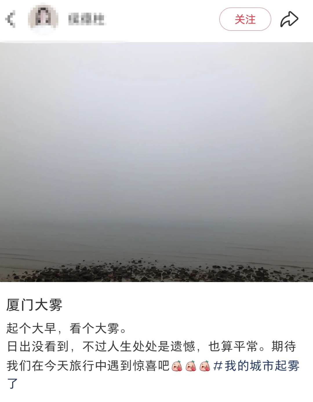 刚抵达厦门！实在太大了！已发布预警！停航通知！接下来……