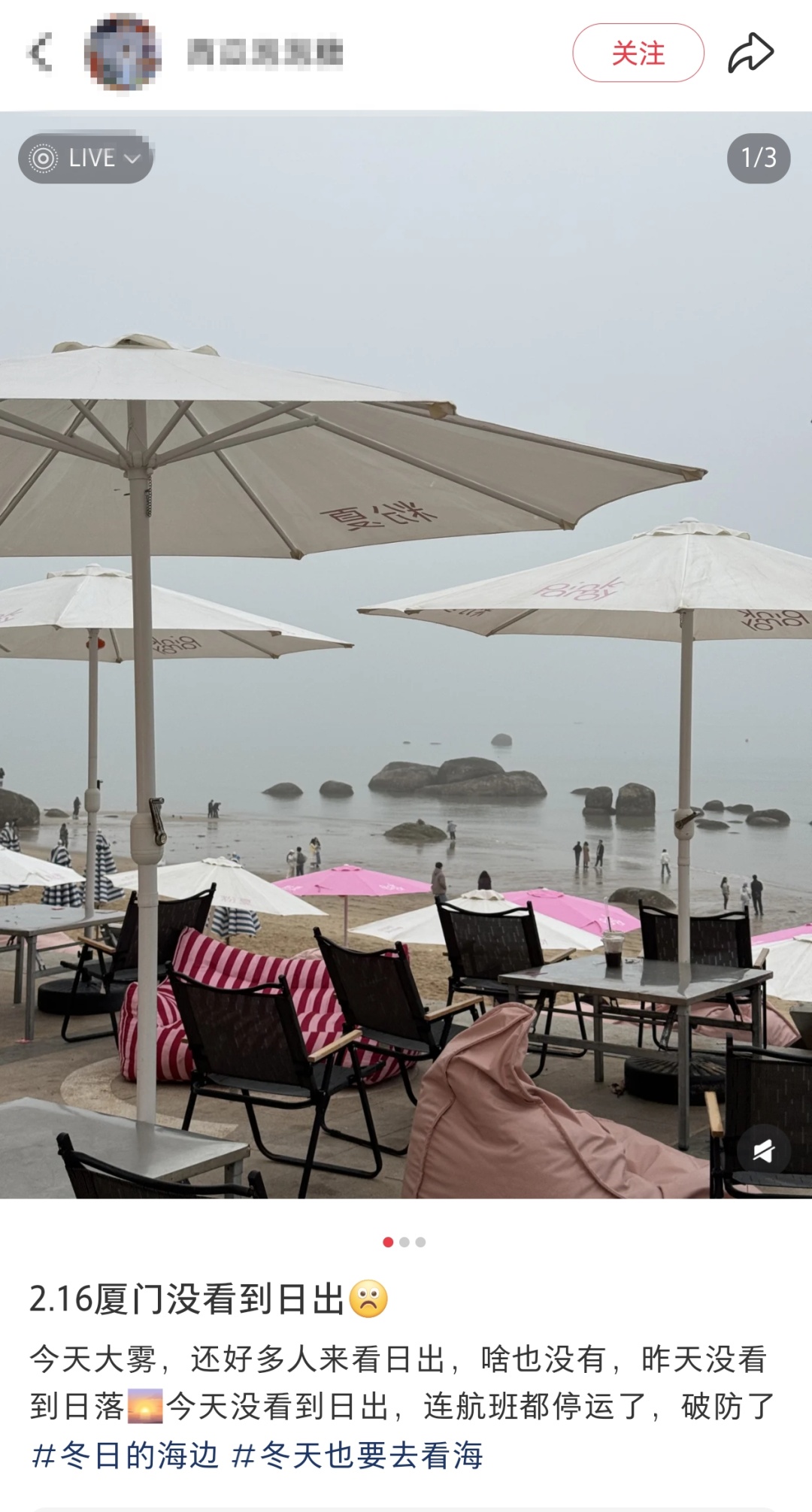 刚抵达厦门！实在太大了！已发布预警！停航通知！接下来……