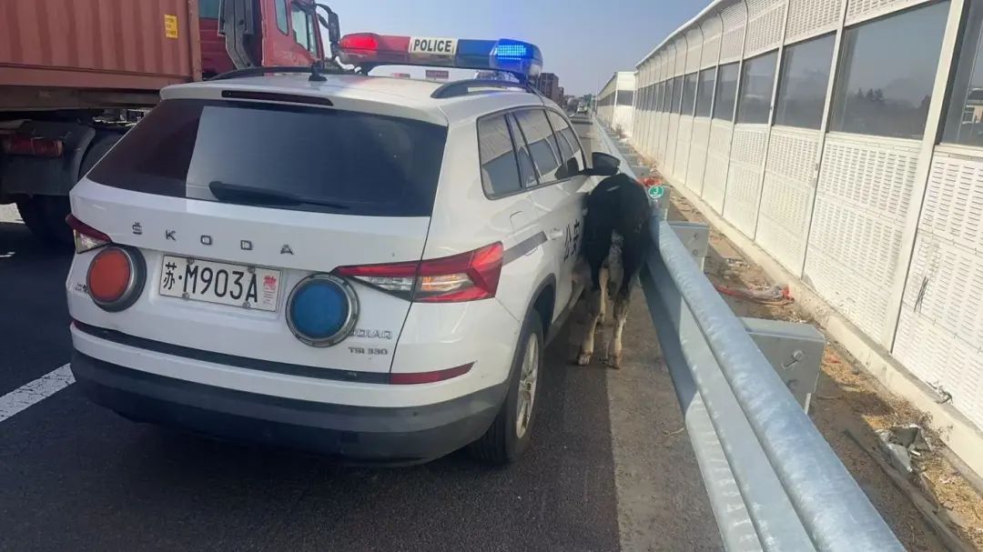 高速上撞警车！