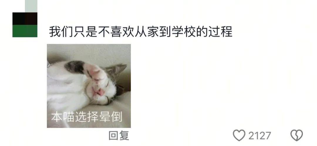 “大家千万不要被大学生骗了！他们其实只有在回学校的路上是难过的！”