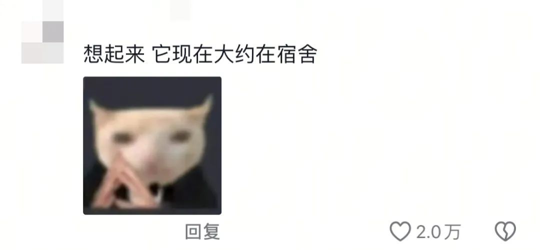 “大家千万不要被大学生骗了！他们其实只有在回学校的路上是难过的！”