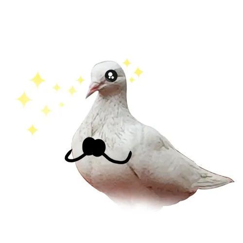 广州再现全球昆虫新物种!以“海珠”命名,就在这里 广州再现全球昆虫新物种!以“海珠”命名,就在这里