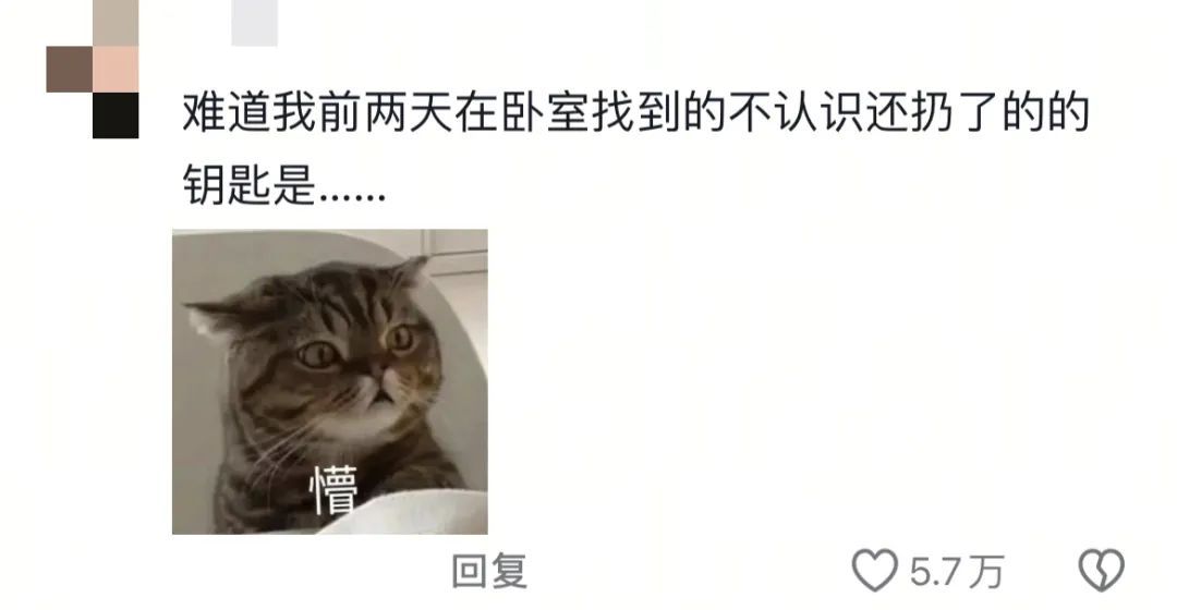 “大家千万不要被大学生骗了！他们其实只有在回学校的路上是难过的！”