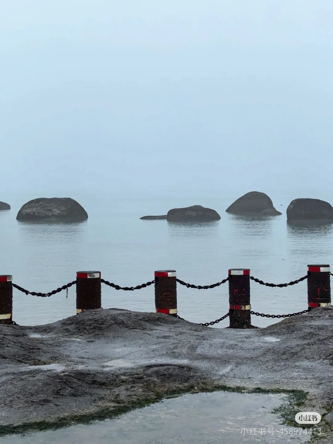 刚抵达厦门！实在太大了！已发布预警！停航通知！接下来……
