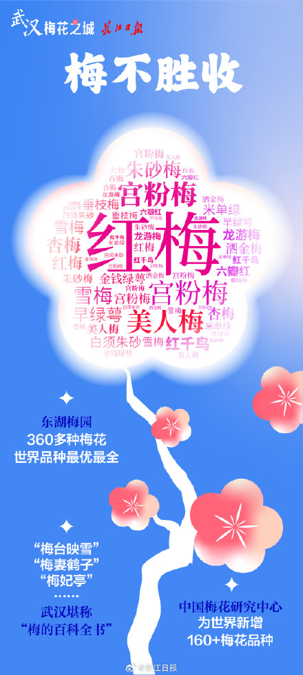 “武汉梅花直接封神！” 武汉这些地方的梅花免费看
