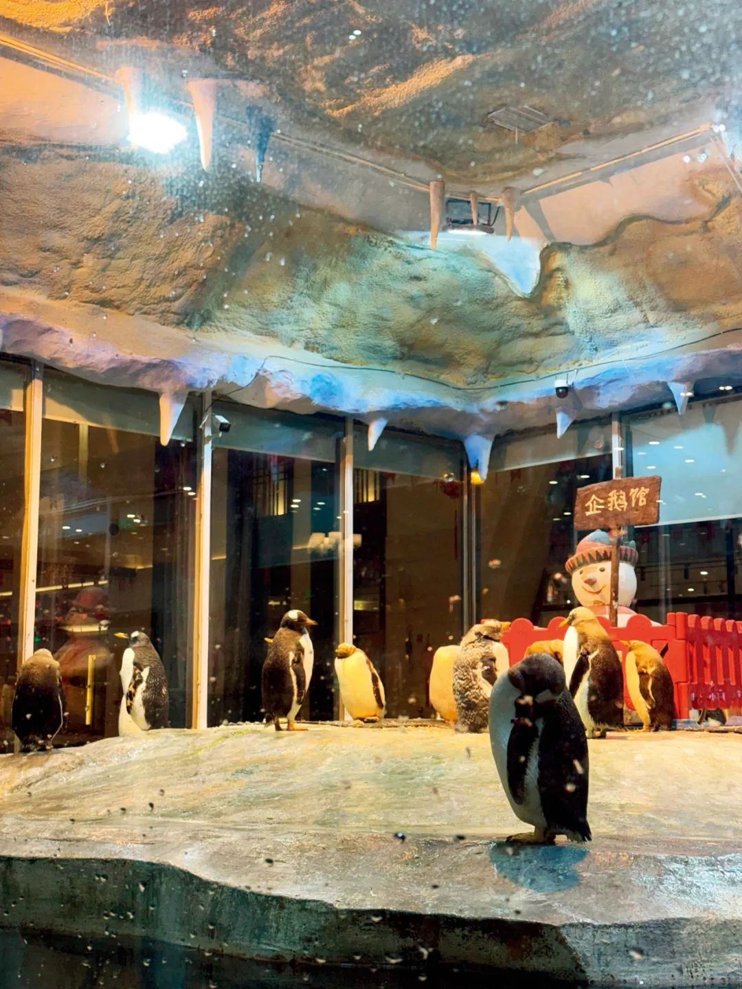 全球最大“大冰箱”，又要刷新了