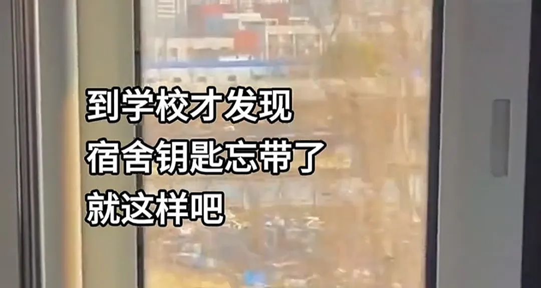“大家千万不要被大学生骗了！他们其实只有在回学校的路上是难过的！”