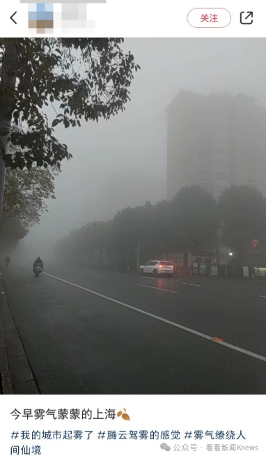 “好大的雾”！上海气温大反转，冲上16℃又猛降，下周还有雨……