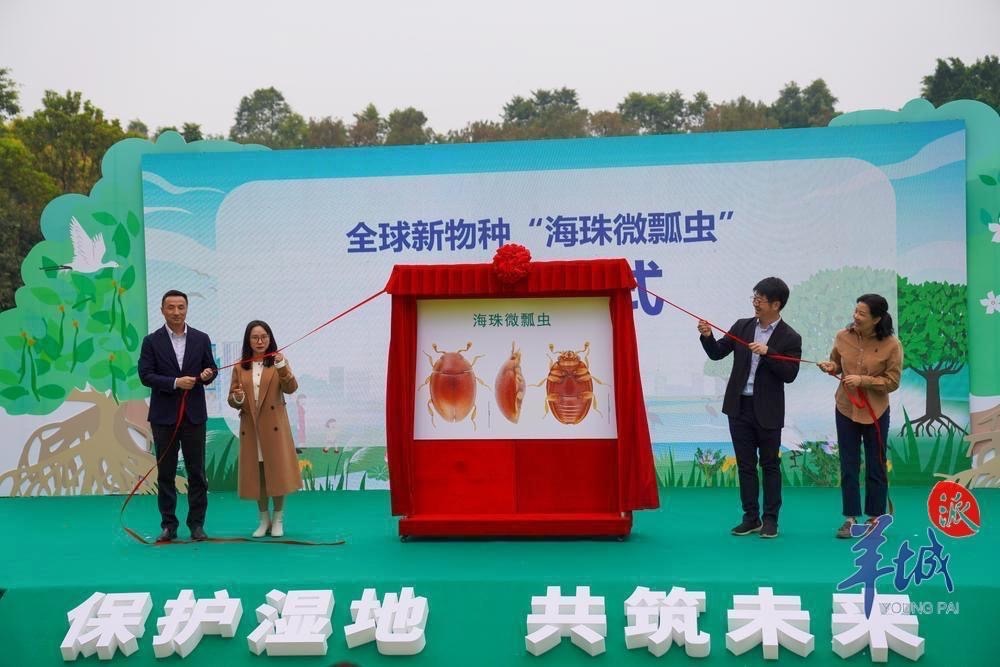 又发现全球新物种！以“海珠”命名