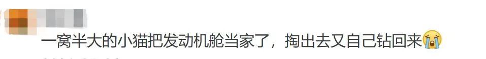 天真冷,小心车上“长”它! 天真冷,小心车上“长”它!