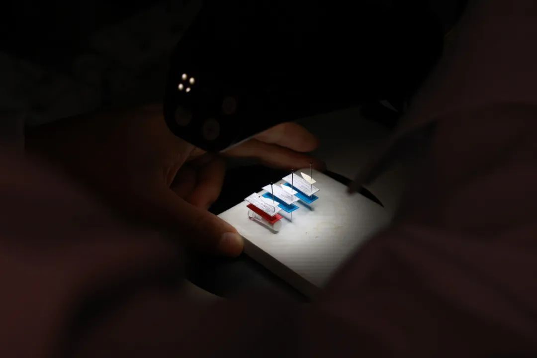 广州再现全球昆虫新物种!以“海珠”命名,就在这里 广州再现全球昆虫新物种!以“海珠”命名,就在这里