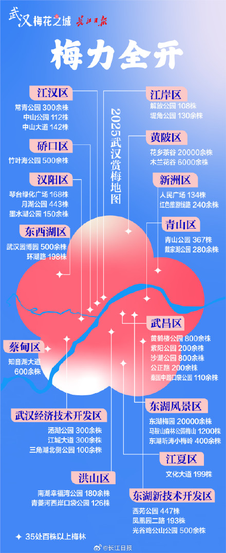 “武汉梅花直接封神！” 武汉这些地方的梅花免费看