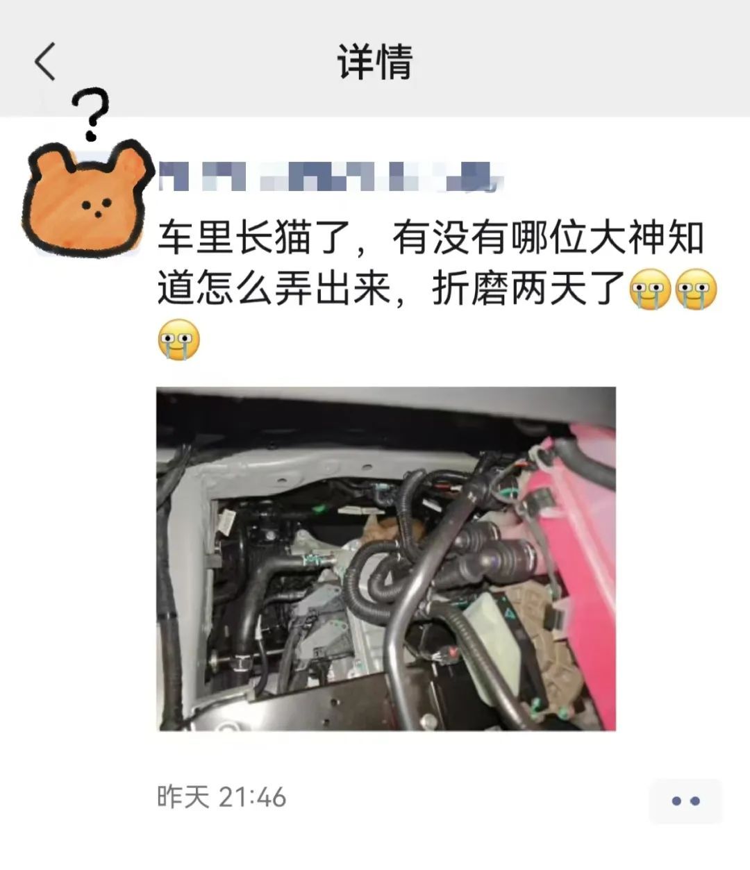 天真冷,小心车上“长”它! 天真冷,小心车上“长”它!