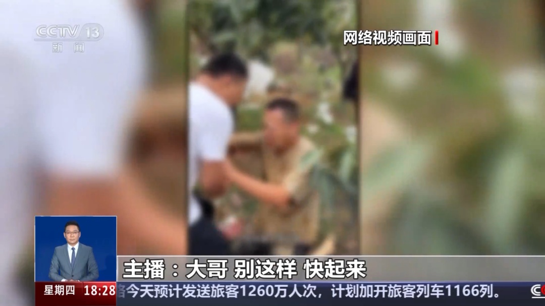 假的！都是编的！看了别心软……