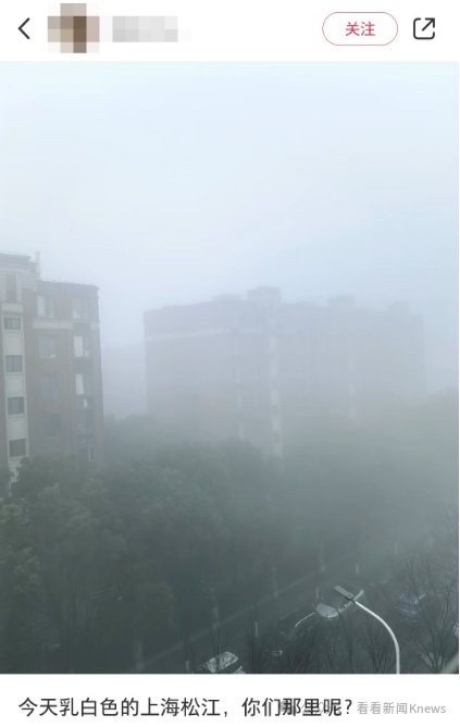 “好大的雾”！上海气温大反转，冲上16℃又猛降，下周还有雨……