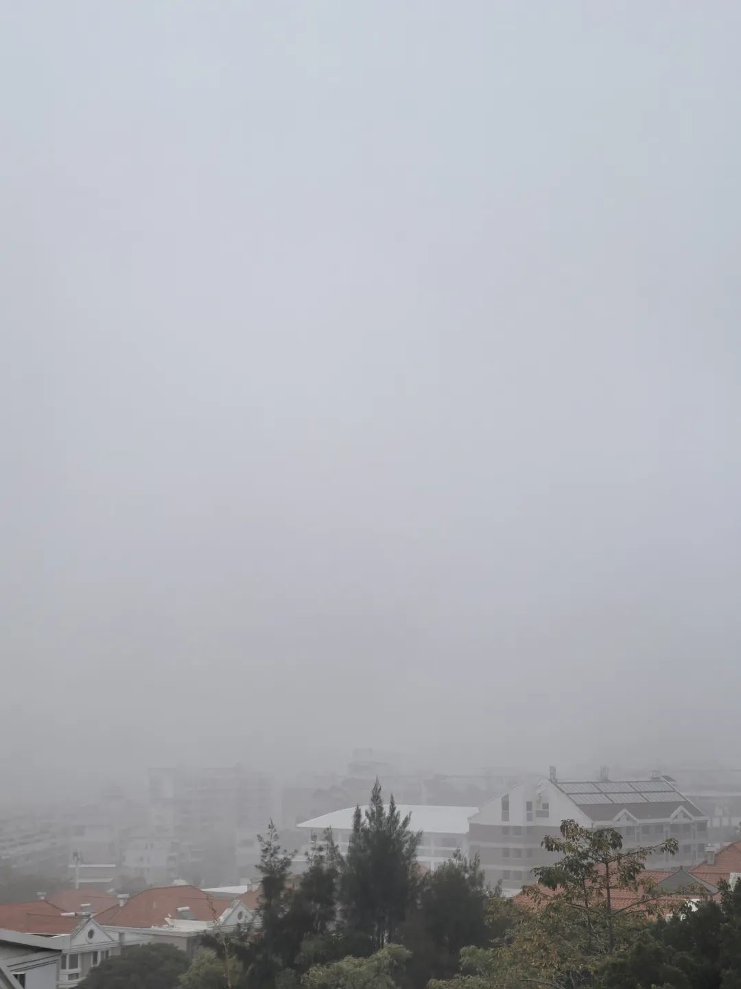 刚抵达厦门！实在太大了！已发布预警！停航通知！接下来……