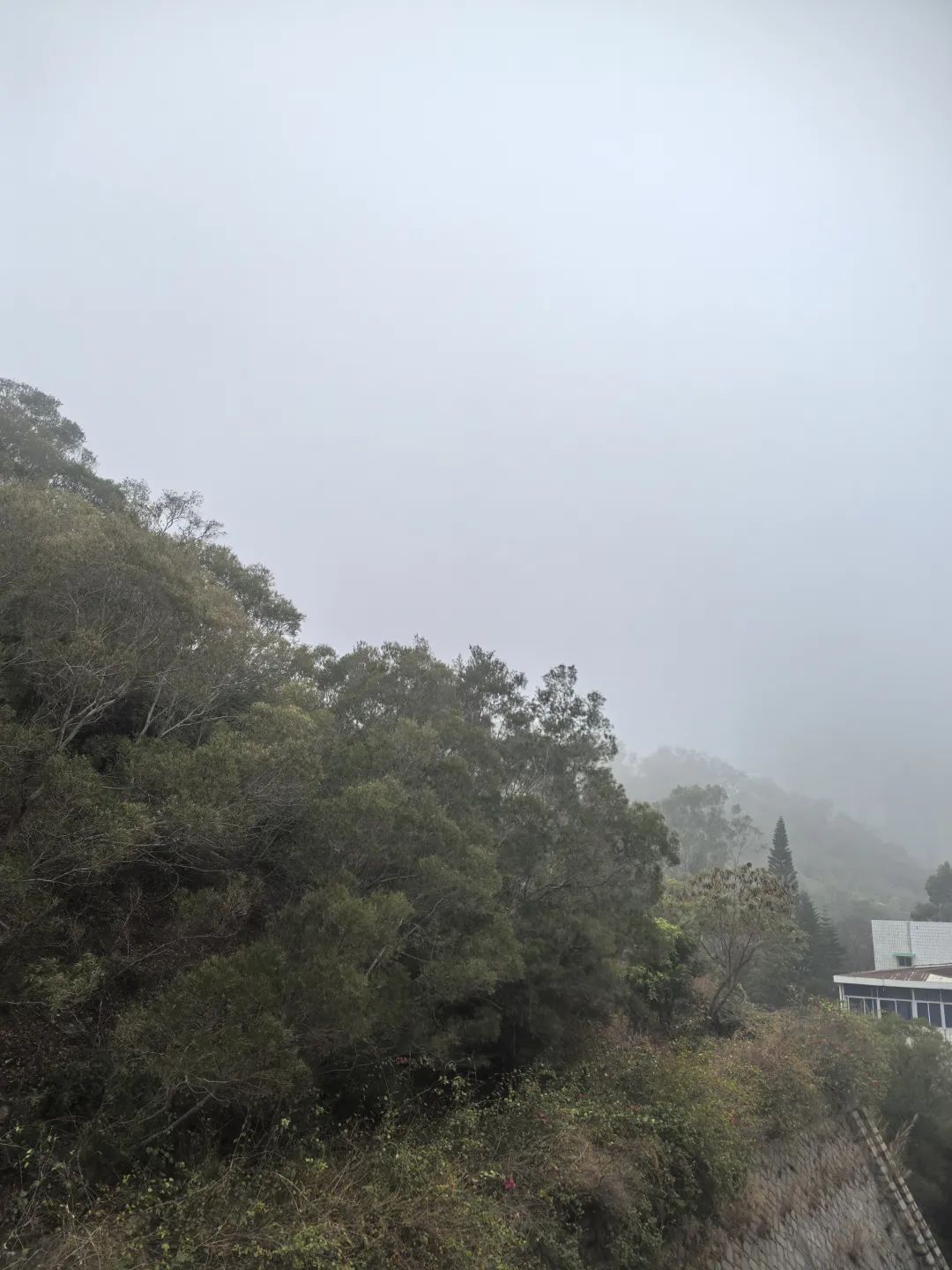 刚抵达厦门！实在太大了！已发布预警！停航通知！接下来……