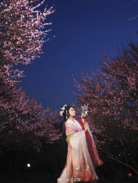 “武汉梅花直接封神！” 武汉这些地方的梅花免费看