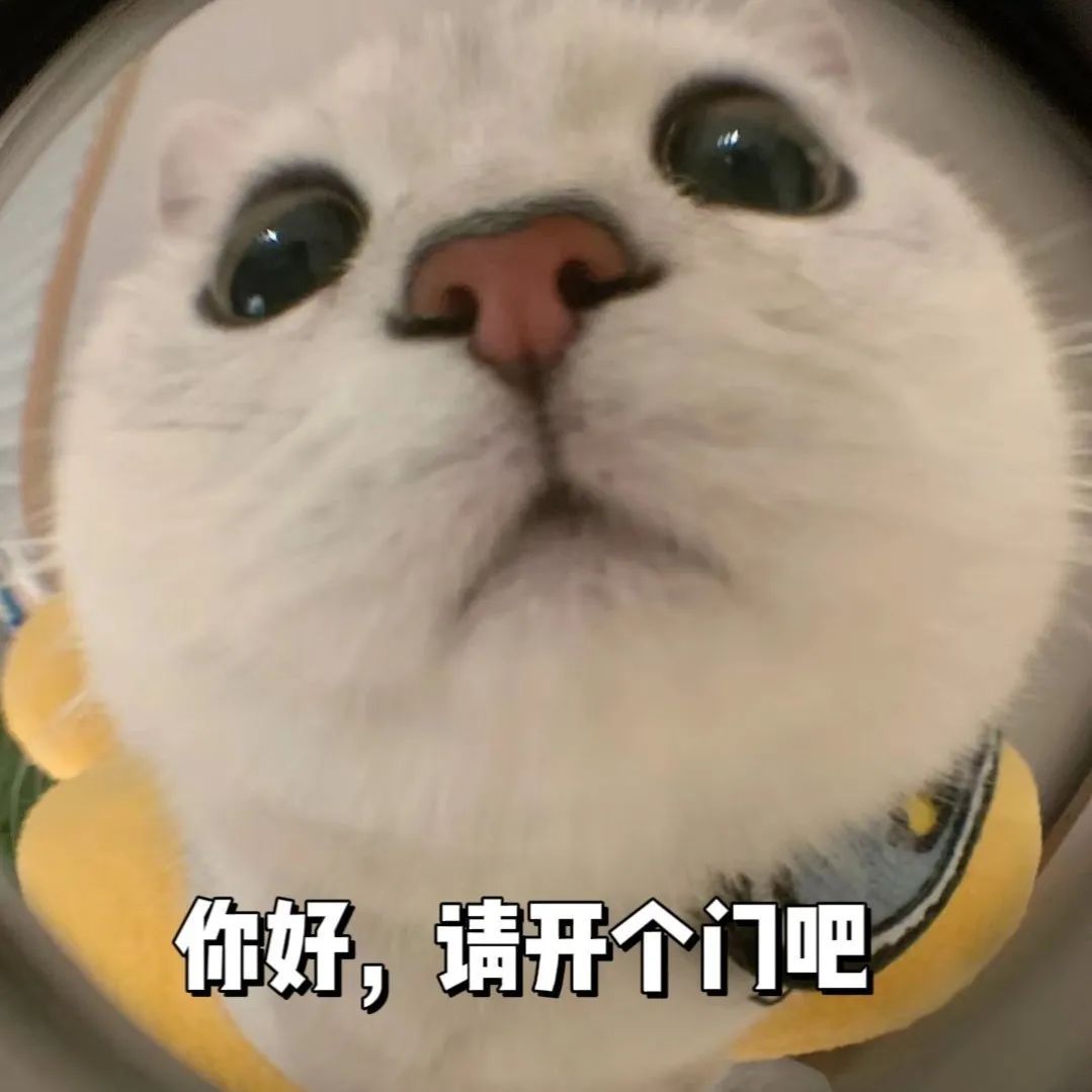 天真冷,小心车上“长”它! 天真冷,小心车上“长”它!