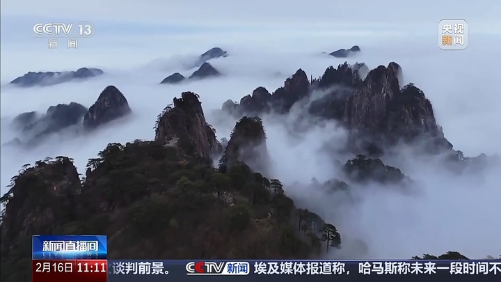 周末登高踏春去哪？黄山峨眉山向你发出诗意邀约