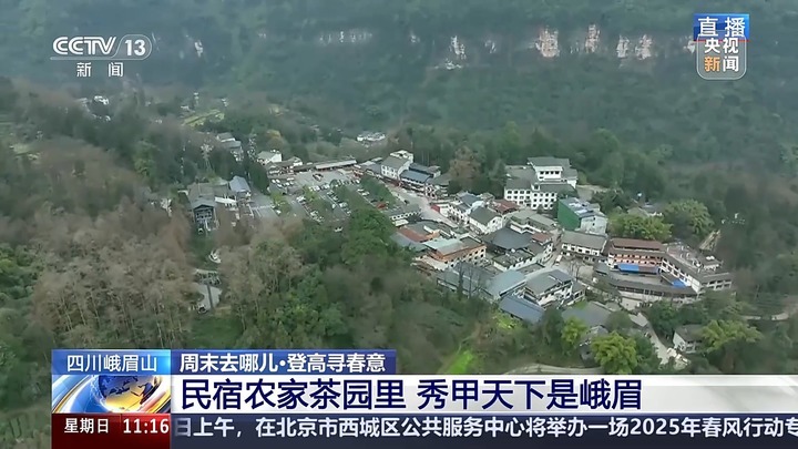 周末登高踏春去哪？黄山峨眉山向你发出诗意邀约