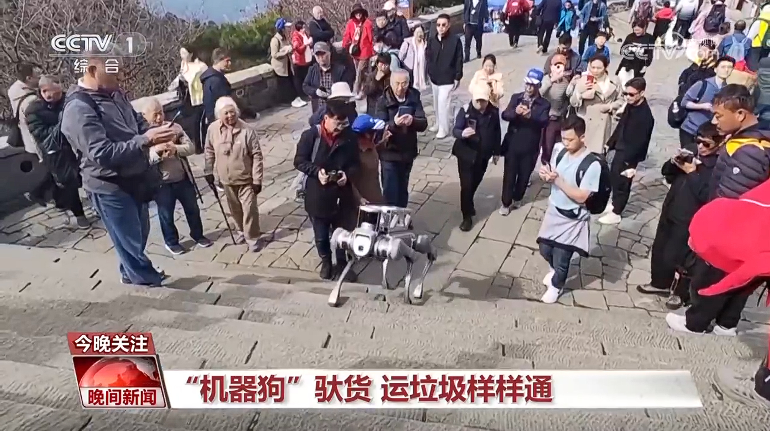 机器人“赛道” 新年加速“跑” 我国智能机器人产业企业数量超45万家