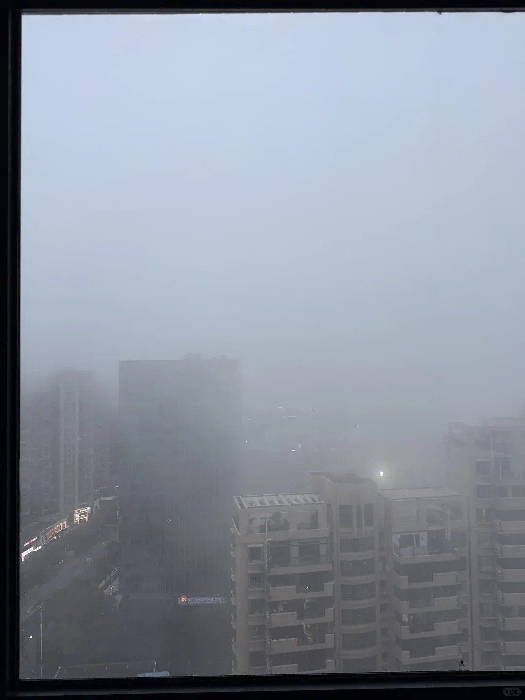 刚抵达厦门！实在太大了！已发布预警！停航通知！接下来……