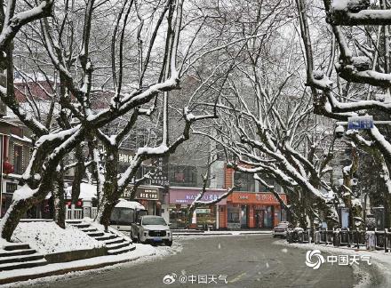 江西庐山雪花纷飞 银装素裹尽显冬日之美