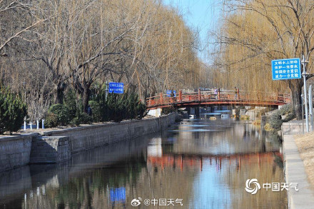 北京天暖冰消融 迎春花开春将至