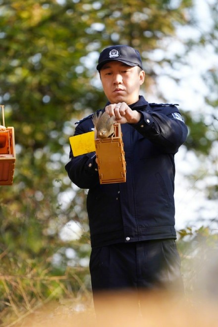 “听说巫溪生态好，专门开车过来捉画眉” 三人非法捕猎被抓获