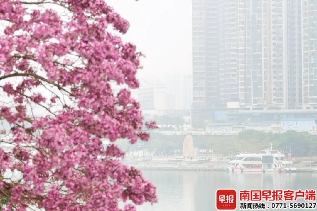 局地将迎中到大雨!广西本周继续潮!潮!潮! 局地将迎中到大雨!广西本周继续潮!潮!潮!