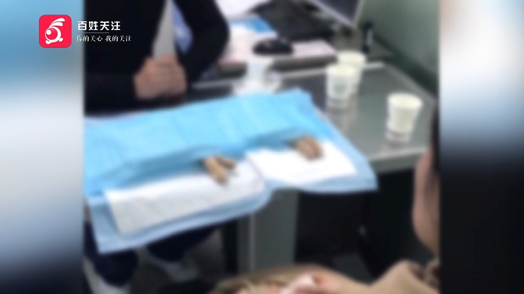 爱猫送医后1小时死亡,贵阳女子无法接受:怀疑院方操作不当 爱猫送医后1小时死亡,贵阳女子无法接受:怀疑院方操作不当