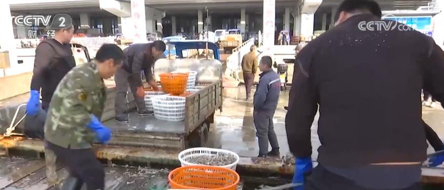 节后海鲜捕捞忙：市场供应大幅增加 价格稳步回落