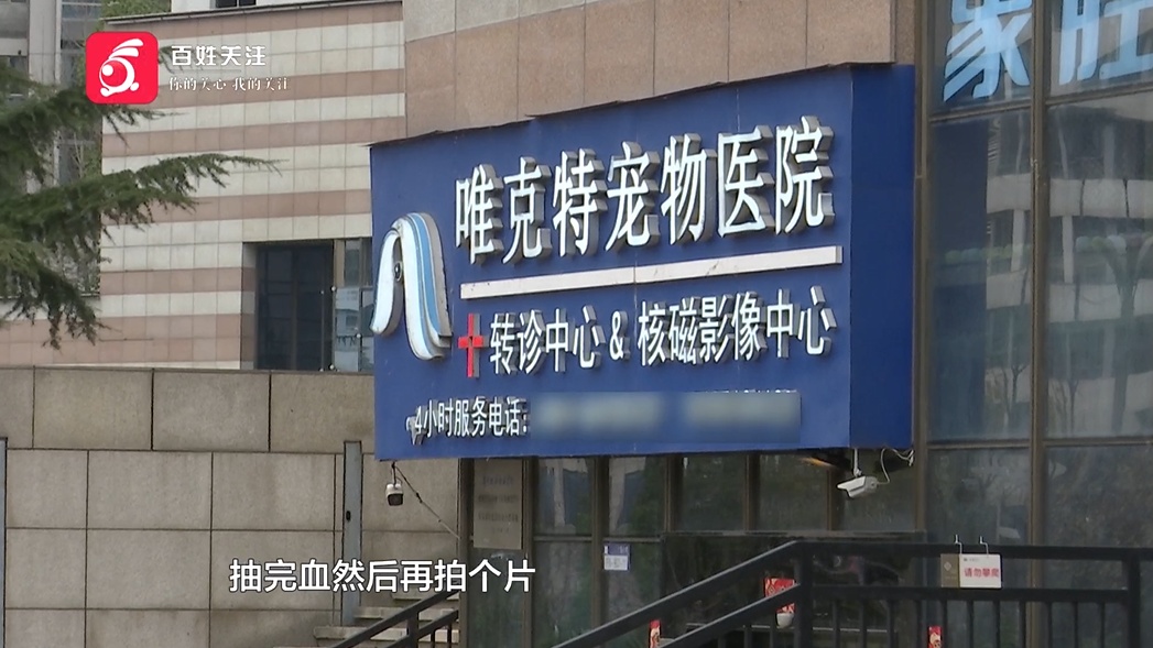 爱猫送医后1小时死亡,贵阳女子无法接受:怀疑院方操作不当 爱猫送医后1小时死亡,贵阳女子无法接受:怀疑院方操作不当