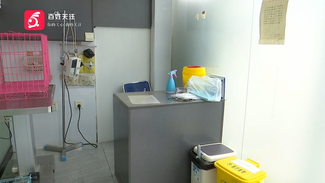 爱猫送医后1小时死亡,贵阳女子无法接受:怀疑院方操作不当 爱猫送医后1小时死亡,贵阳女子无法接受:怀疑院方操作不当