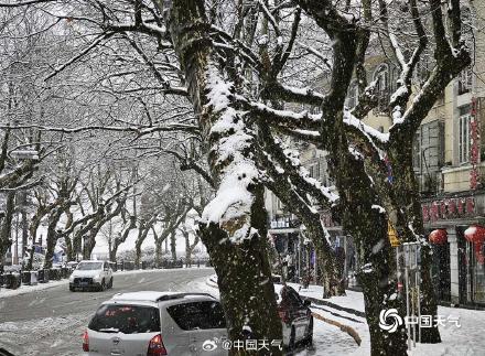 江西庐山雪花纷飞 银装素裹尽显冬日之美