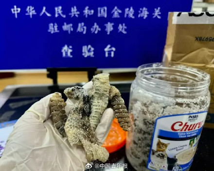 海关查获生腌响尾蛇尾巴!网友:啊?你说生腌什么? 海关查获生腌响尾蛇尾巴!网友:啊?你说生腌什么?